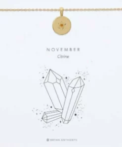 Bryan Anthonys November Birthstone Necklace in 14K Gold - women